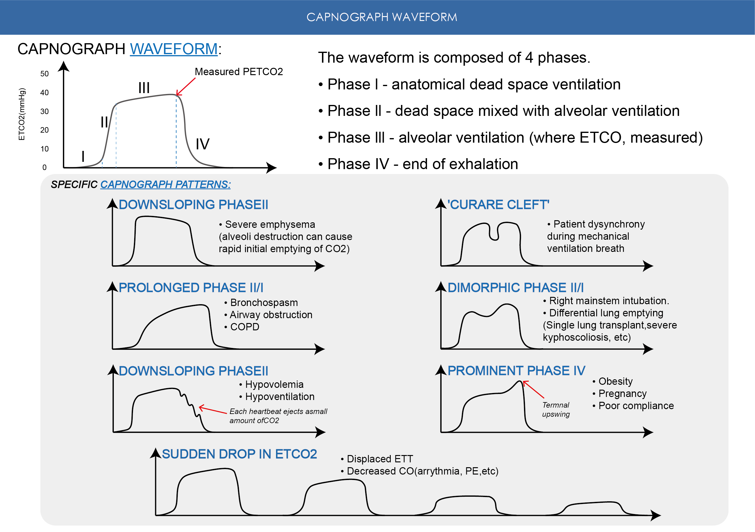 Comprehensive Analysis of End-Tidal Carbon Dioxide (ETCO₂) Monitoring